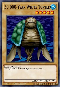 30,000-Year White Turtle