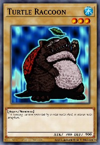 Turtle Raccoon