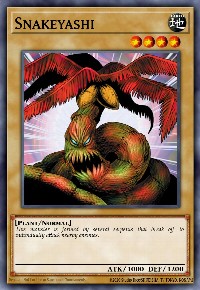 Snakeyashi