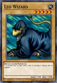 Leo Wizard