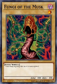 Fungi of the Musk