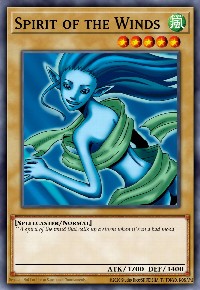 Spirit of the Winds