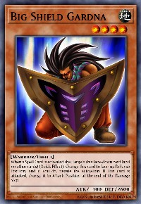 Big Shield Gardna