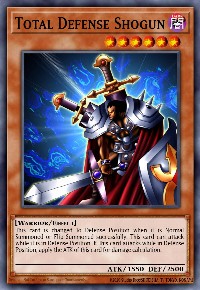 Total Defense Shogun