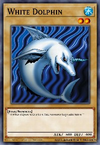 White Dolphin
