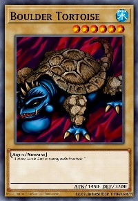 Boulder Tortoise