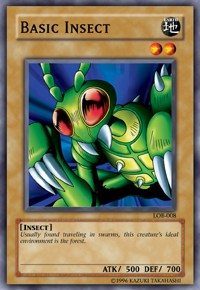 Basic Insect