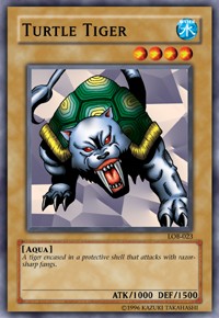 Turtle Tiger