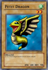 Petit Dragon