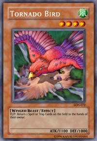 Tornado Bird