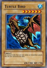 Turtle Bird