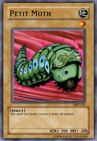 Petit Moth