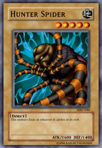 Hunter Spider
