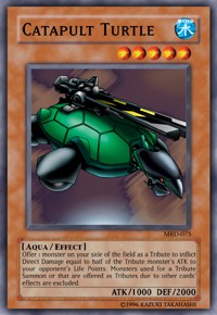Catapult Turtle