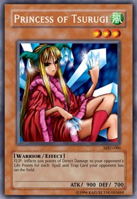 Princess of Tsurugi