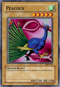 Peacock
