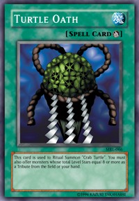 Turtle Oath