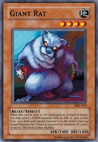 Giant Rat