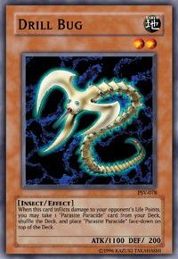 Drill Bug