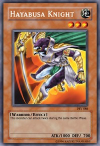 Hayabusa Knight