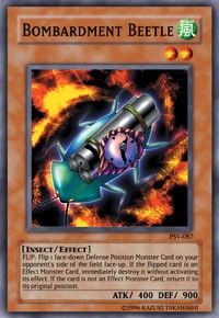Bombardment Beetle