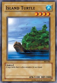 Island Turtle
