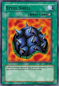 Steel Shell