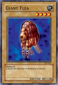 Giant Flea