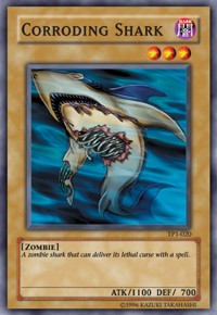 Corroding Shark