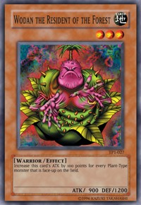 Wodan the Resident of the Forest