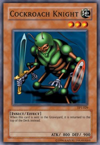 Cockroach Knight